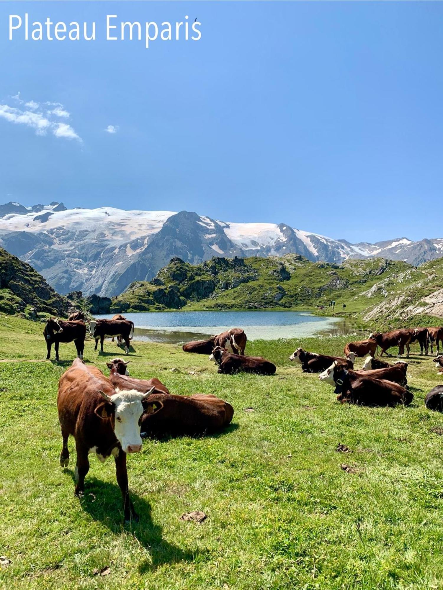 Le Dune Logement Le Bourg-dʼOisans Esterno foto